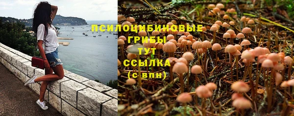 альфа пвп Бородино