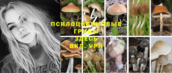 mdpv Верхний Тагил